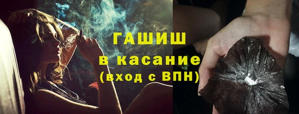 индика Аркадак