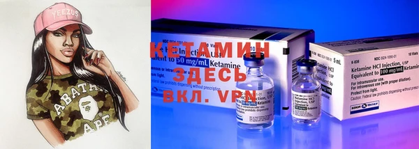 индика Аркадак