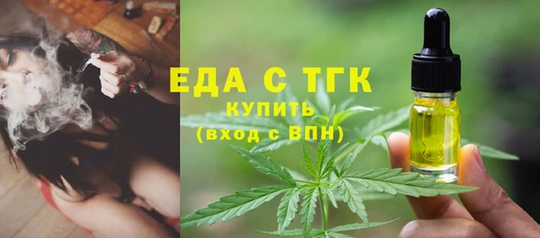 индика Аркадак