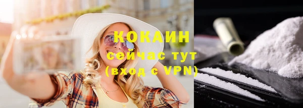 трава Арсеньев