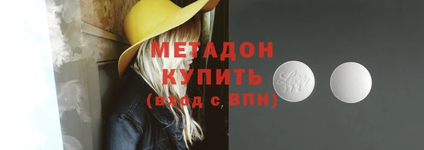 индика Аркадак