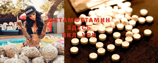 индика Аркадак