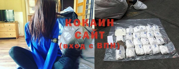 индика Аркадак