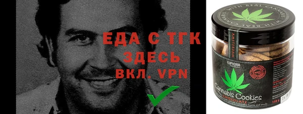 индика Аркадак
