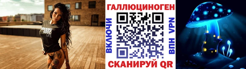 где можно купить   Осинники  Галлюциногенные грибы Cubensis 